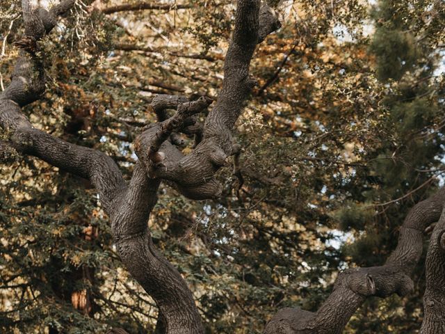 Patrick and Hillary's Wedding in Piedmont, California 34