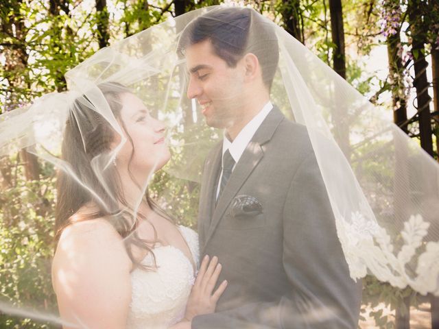 Jack and Ashleigh&apos;s Wedding in Sonoma, California 22