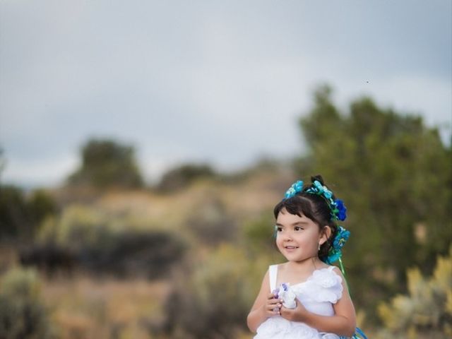 Michelle and Jeremy&apos;s Wedding in Ojo Caliente, New Mexico 15