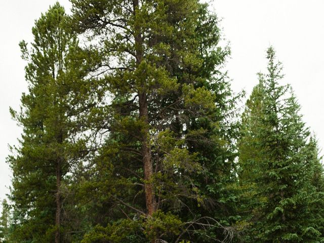 Jonathan and Gabrielle&apos;s Wedding in Breckenridge, Colorado 50