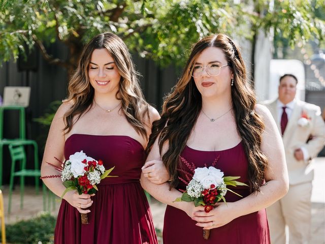 Jaide and Claudia's Wedding in Plainfield, Illinois 60
