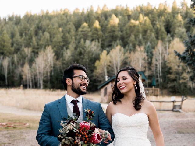 Sam and Diana&apos;s Wedding in Pine, Colorado 12