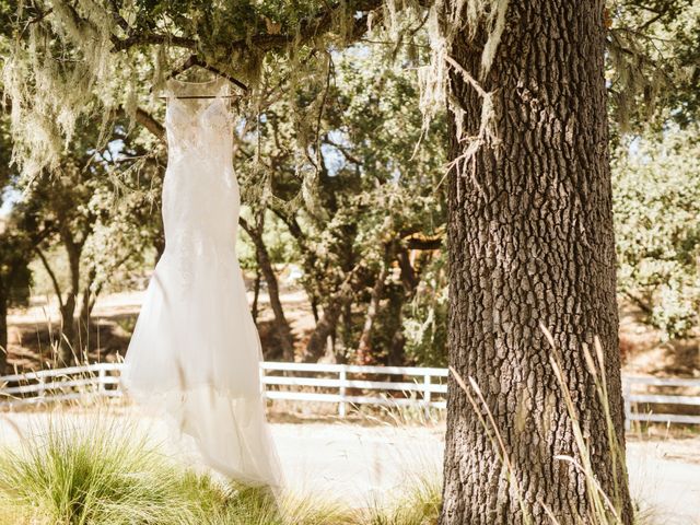 Carmen and Thomas's Wedding in Paso Robles, California 27