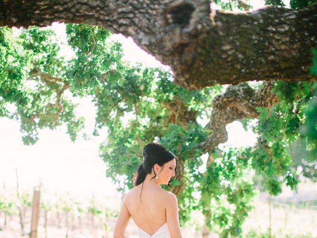 Alicia and Justin&apos;s Wedding in Napa, California 6