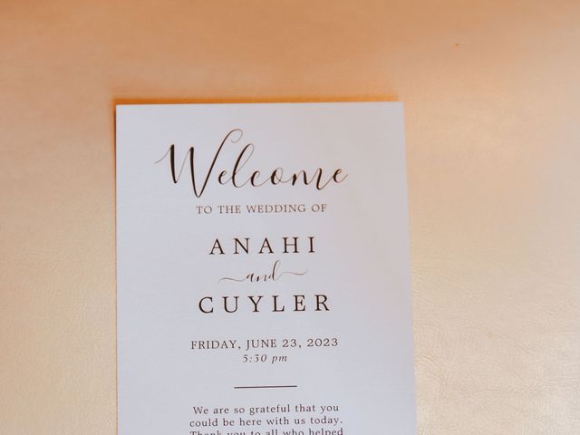 Cuyler and Anahi&apos;s Wedding in Wheeling, Illinois 31