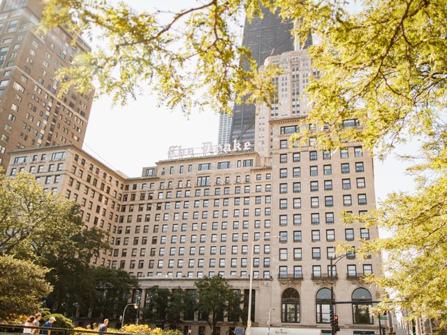 Taylor and Katerina's Wedding in Chicago, Illinois 58