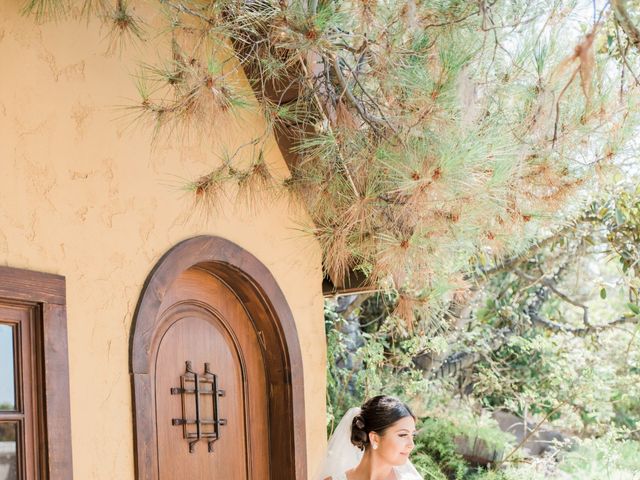 Ricardo and Chloe&apos;s Wedding in Trabuco Canyon, California 44