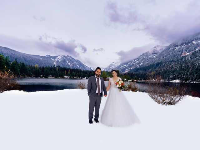 erfan and elham's Wedding in Sammamish, Washington 6