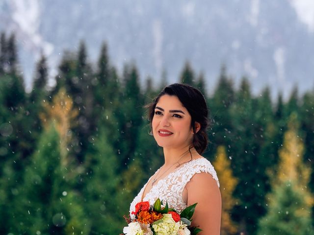erfan and elham's Wedding in Sammamish, Washington 7