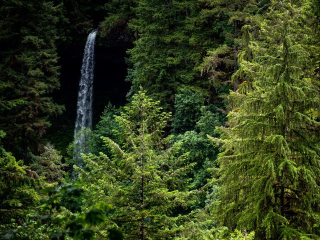 Sean and Joie&apos;s Wedding in Silverton, Oregon 3