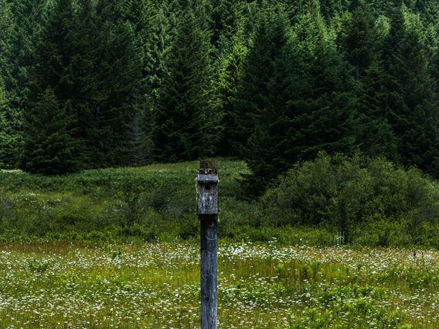 Sean and Joie&apos;s Wedding in Silverton, Oregon 8