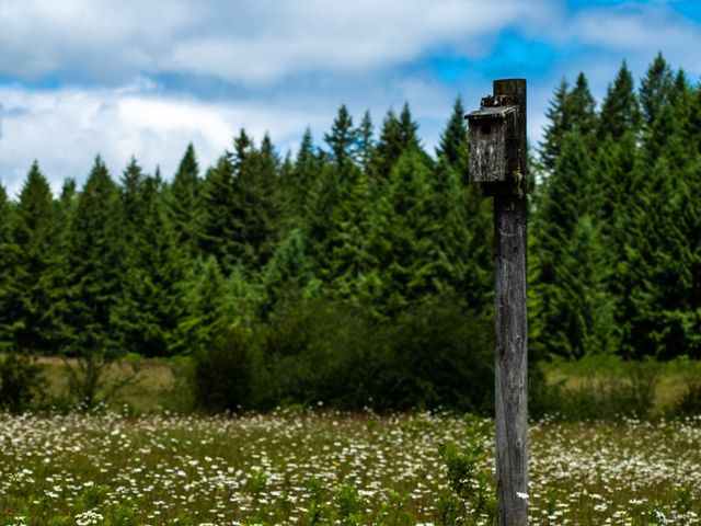 Sean and Joie&apos;s Wedding in Silverton, Oregon 9