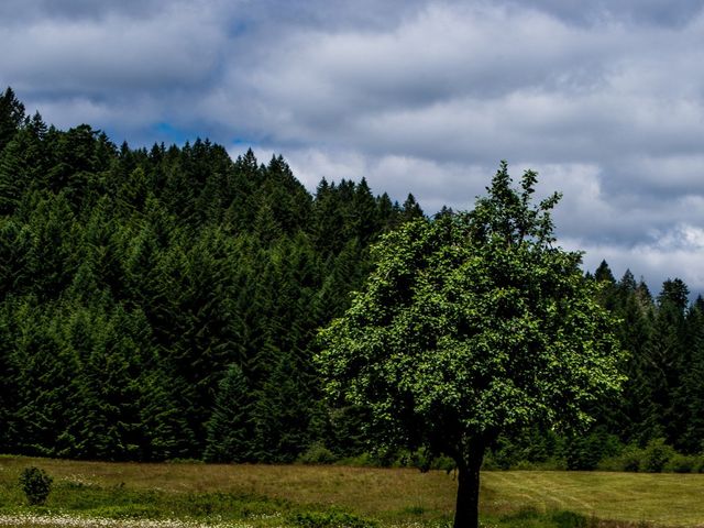 Sean and Joie&apos;s Wedding in Silverton, Oregon 11