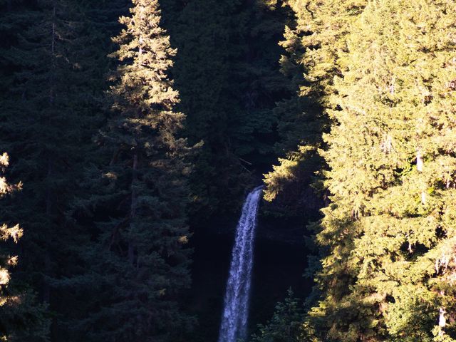 Sean and Joie&apos;s Wedding in Silverton, Oregon 113