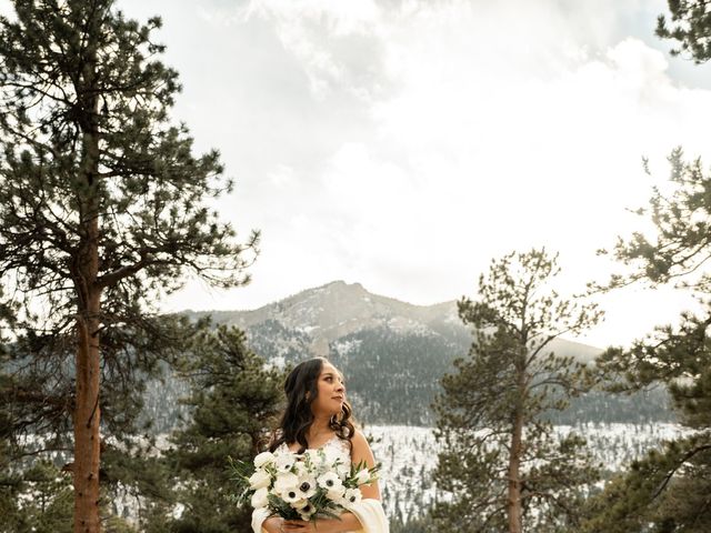 David and Angelica&apos;s Wedding in Estes Park, Colorado 10