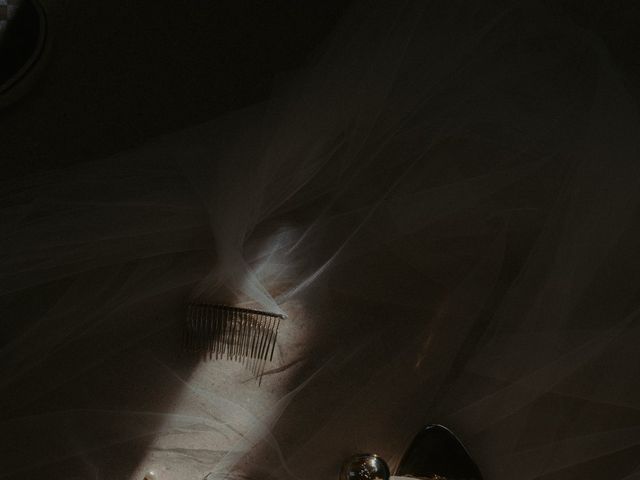 Patrick and Victoria's Wedding in San Jose del Cabo, Mexico 5