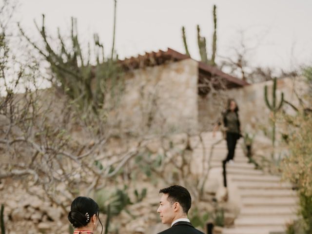 Patrick and Victoria's Wedding in San Jose del Cabo, Mexico 19