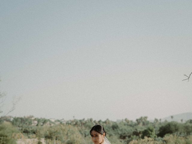 Patrick and Victoria's Wedding in San Jose del Cabo, Mexico 34