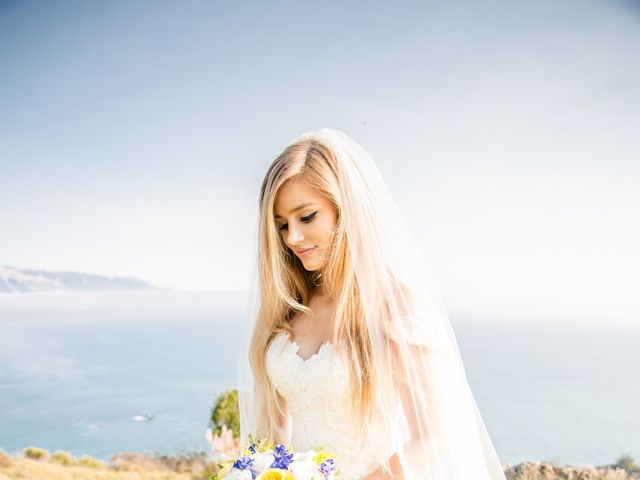 Kevin and Brittany&apos;s Wedding in Big Sur, California 70