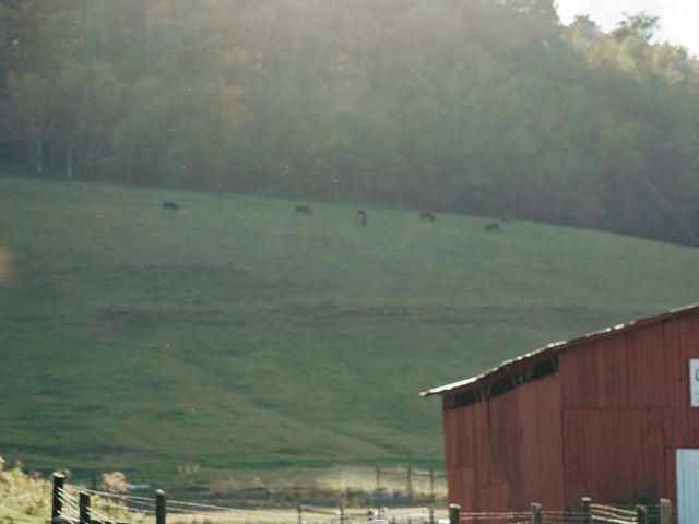 Caleb and Emily's Wedding in Carthage, Tennessee 15