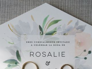 Rosalie &amp; Aldo&apos;s wedding 2