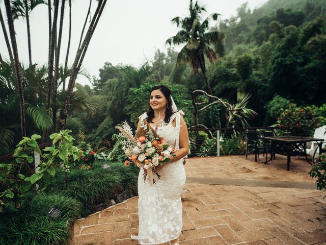 Amir and Merhnaz&apos;s Wedding in Naguabo, Puerto Rico 12