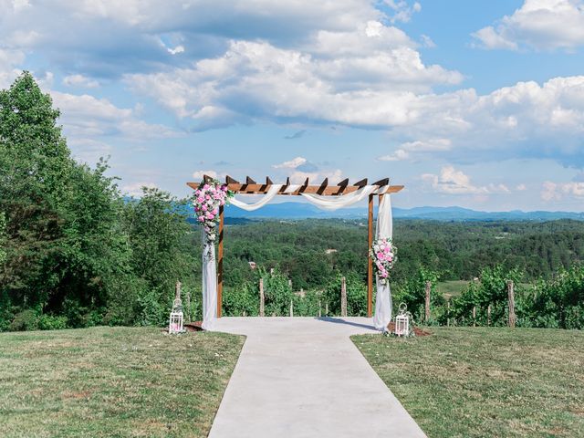 Daniel and Cassidy&apos;s Wedding in Asheville, North Carolina 4