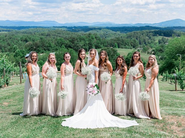 Daniel and Cassidy&apos;s Wedding in Asheville, North Carolina 45