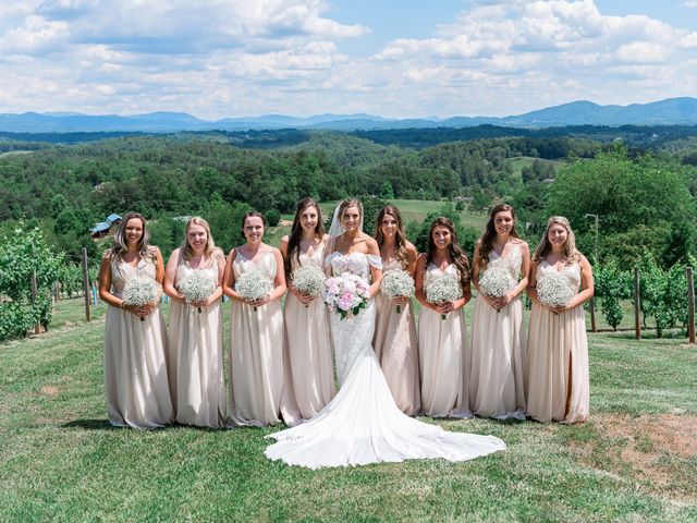 Daniel and Cassidy&apos;s Wedding in Asheville, North Carolina 46