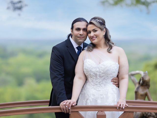 Shahab and Mitra&apos;s Wedding in Clarkston, Michigan 11