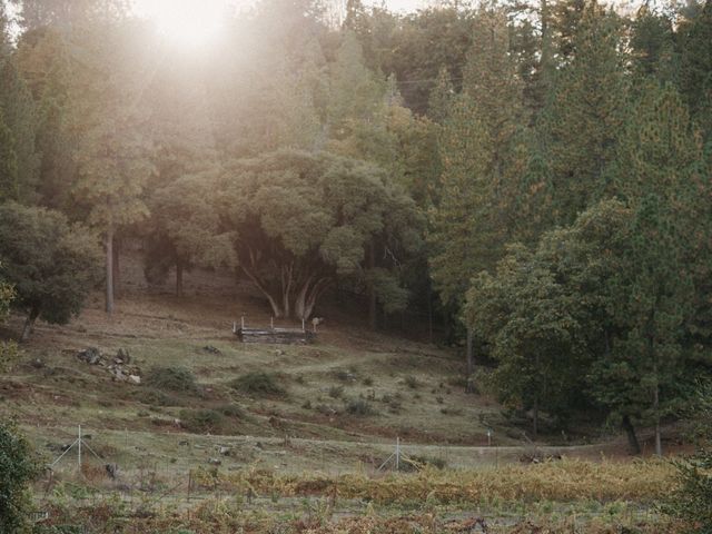Jacob and Ashely's Wedding in Somerset, California 47