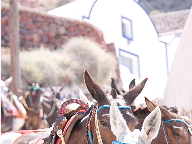 Will and Alexandra&apos;s Wedding in Santorini, Greece 6