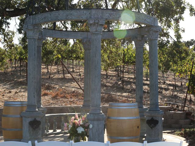 Lucy and Brad&apos;s Wedding in Napa, California 12