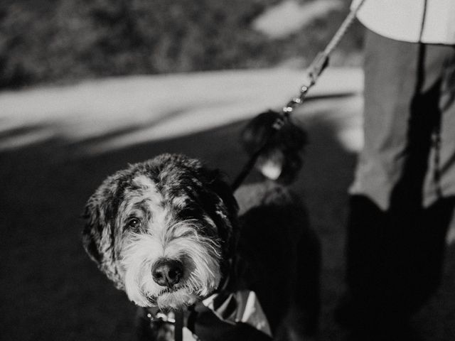 Josh and Kristine's Wedding in Nevada City, California 55