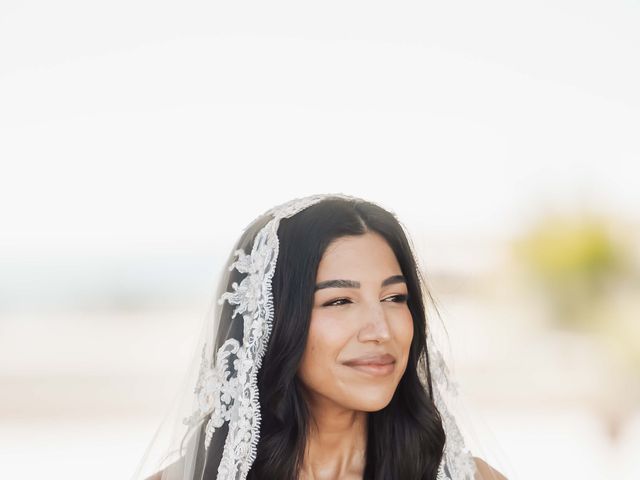 Luciano and Stephanie's Wedding in Cabo San Lucas, Mexico 33