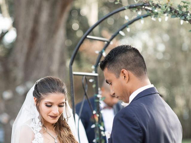 Lexa and Darwin&apos;s Wedding in Dade City, Florida 39