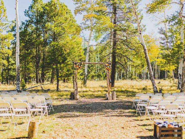 Tyler and Ashley&apos;s Wedding in Flagstaff, Arizona 3