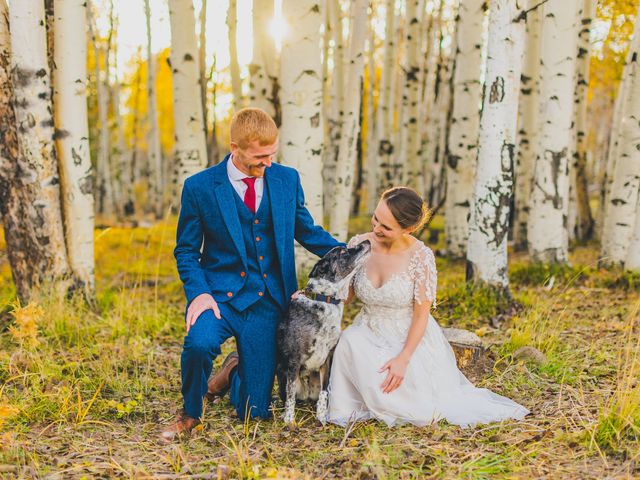 Tyler and Ashley&apos;s Wedding in Flagstaff, Arizona 29