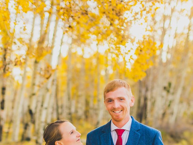 Tyler and Ashley&apos;s Wedding in Flagstaff, Arizona 36