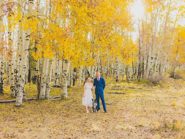 Tyler and Ashley&apos;s Wedding in Flagstaff, Arizona 37