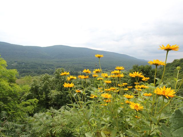 Jonathan and Lydia&apos;s Wedding in Manchester, Vermont 120