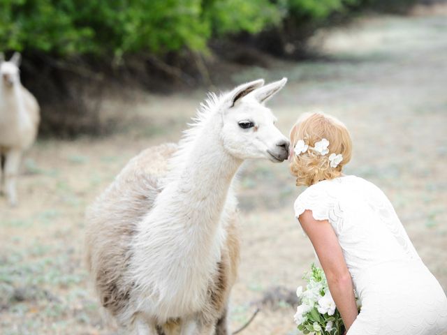 Meghan and Erik&apos;s wedding in California 9