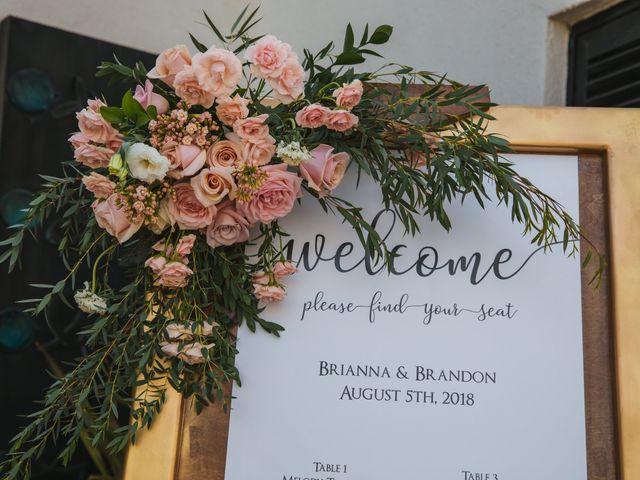 Brandon and Brianna's Wedding in Puerto Vallarta, Mexico 13