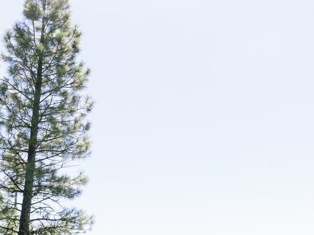 Sean and Kelsey's Wedding in McCall, Idaho 60