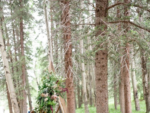 Marc and Kaly&apos;s Wedding in Conifer, Colorado 8