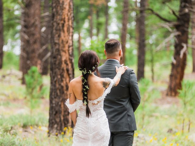 Adam and Kayla&apos;s Wedding in Flagstaff, Arizona 15