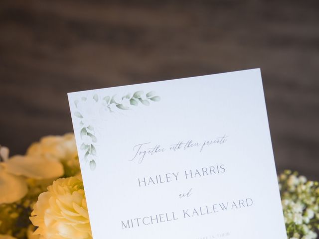 Mitch and Hailey&apos;s Wedding in Ann Arbor, Michigan 9