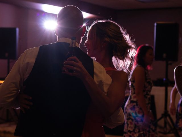 Lauren and Jole&apos;s Wedding in Orland Park, Illinois 3