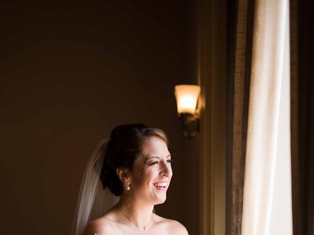 Steve and Madelyn&apos;s Wedding in Ann Arbor, Michigan 12