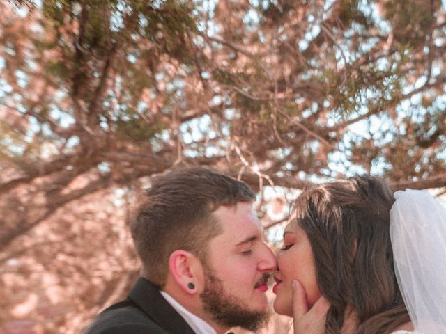 Alexis and Teigan&apos;s Wedding in Sedona, Arizona 11